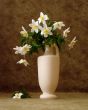 white flowers in vase over brown background