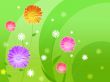  Beautiful wallpaper with flowers