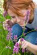 Girl looking on bumblebee