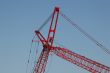 Red Crane Blue Sky