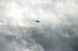 Helicopter and wildfire