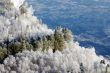 hoar-frost