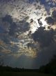 Sunbeams