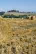 Harvest Fields With Straw in tuscany