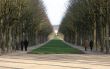 alle in Fontainebleau