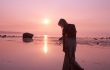 pink sunset