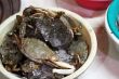 Fresh crabs