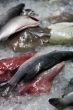 Fresh seafood
