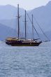 a pair of yachts at anchor