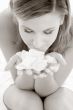 monochrome rose petals