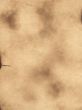 paper