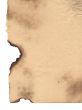 paper