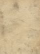 paper