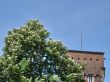 Wawel. Krakow. An ancient part of city.