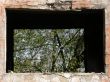 Window.
