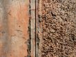wall