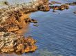 Beautiful sea coast. The western Crimea.