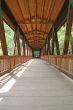 Bridge Into Woods