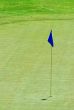 Blue Flag