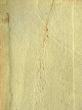 paper