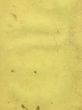 paper