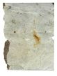 paper