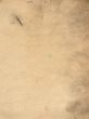 paper