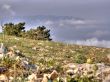 Mountain landscape. Crimea.