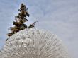 tree on a background of a fountain.