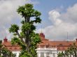 Karlovy Vary
