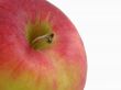 apple.