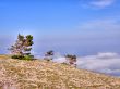 Mountain landscape. Crimea.