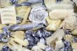 Abstract of shells and objects