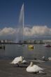 jet D`eau  in Geneva