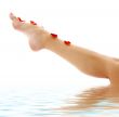 leg with red rose petals in water