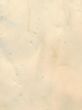 paper