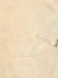 paper