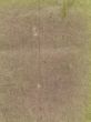 paper