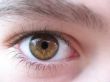 Brown eye
