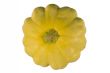 Yellow squash