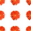 Background from red gerbers