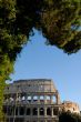 beautiful colosseum