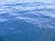 blueocean