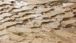 Wet sand