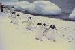 March of the Penguins