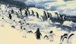 Flock of Adelie penguins