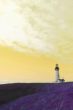 Yaquina Head Lighthouse, yellow