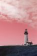 Yaquina Head Lighthouse, pink