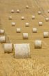Rolls of hay