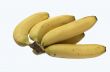 Bunch of bananas
